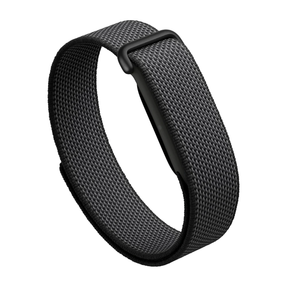 Google Fitbit Air — Obsidian